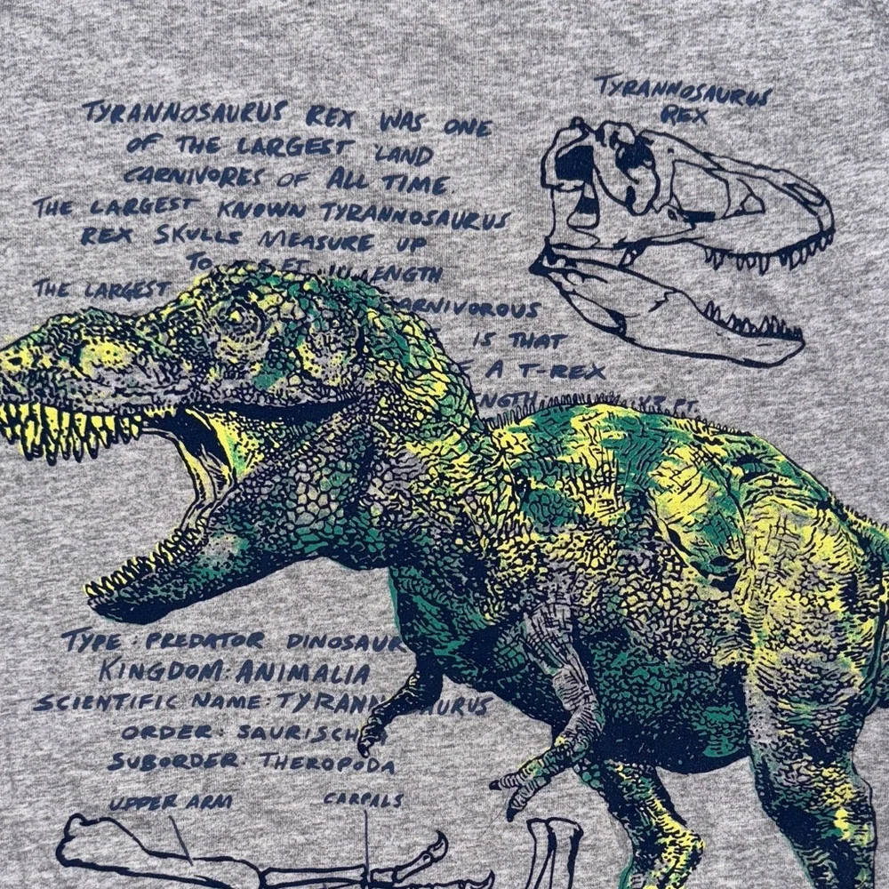 Carter's Gray T-Shirt with Dinosaur Design